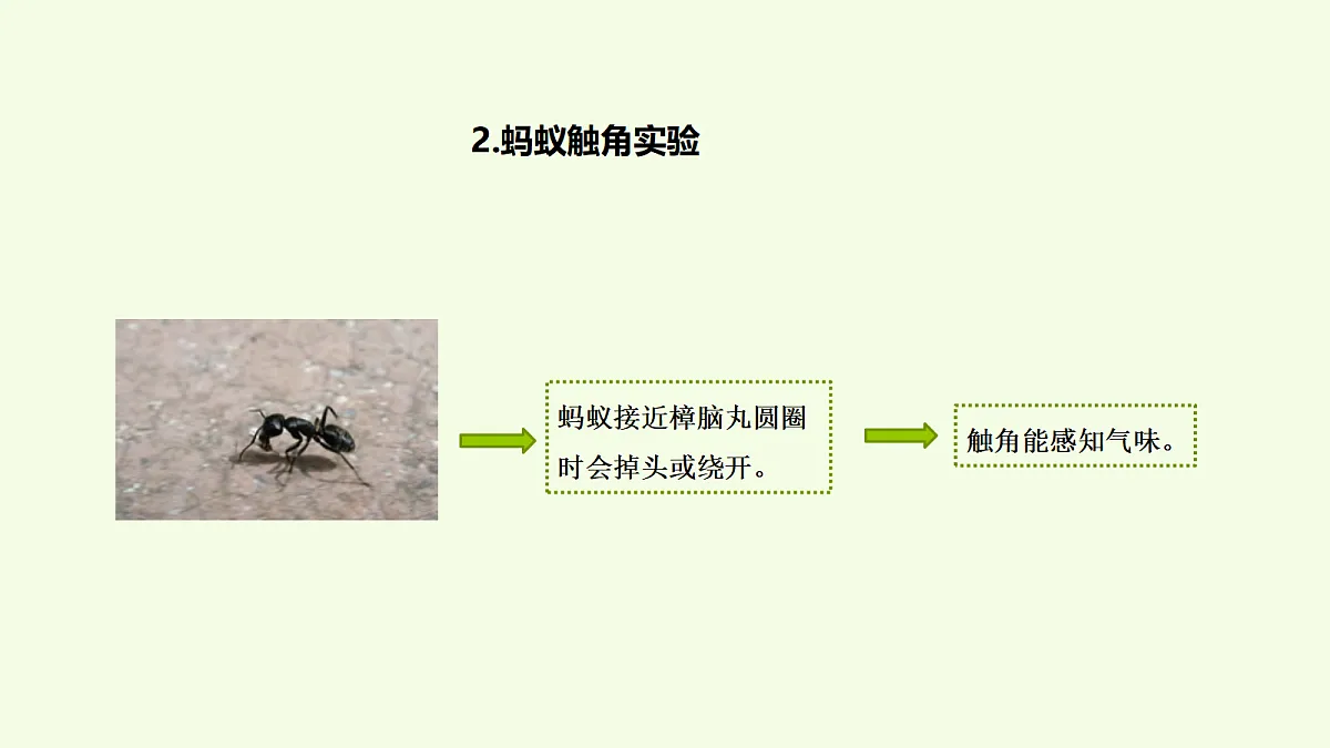 18704048第5页