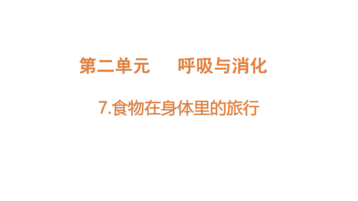 18704068第1页