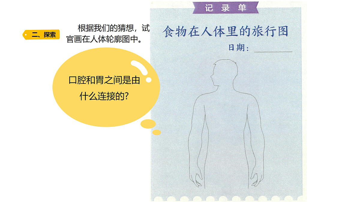 18704068第3页