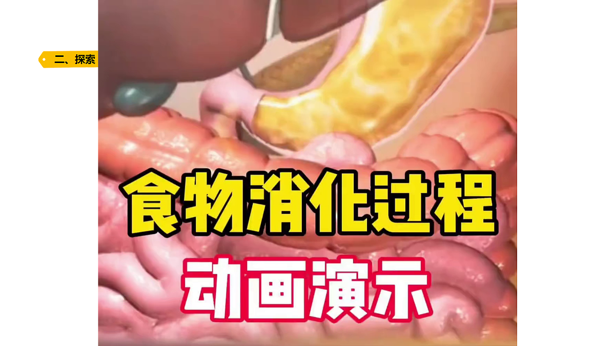 18704068第6页