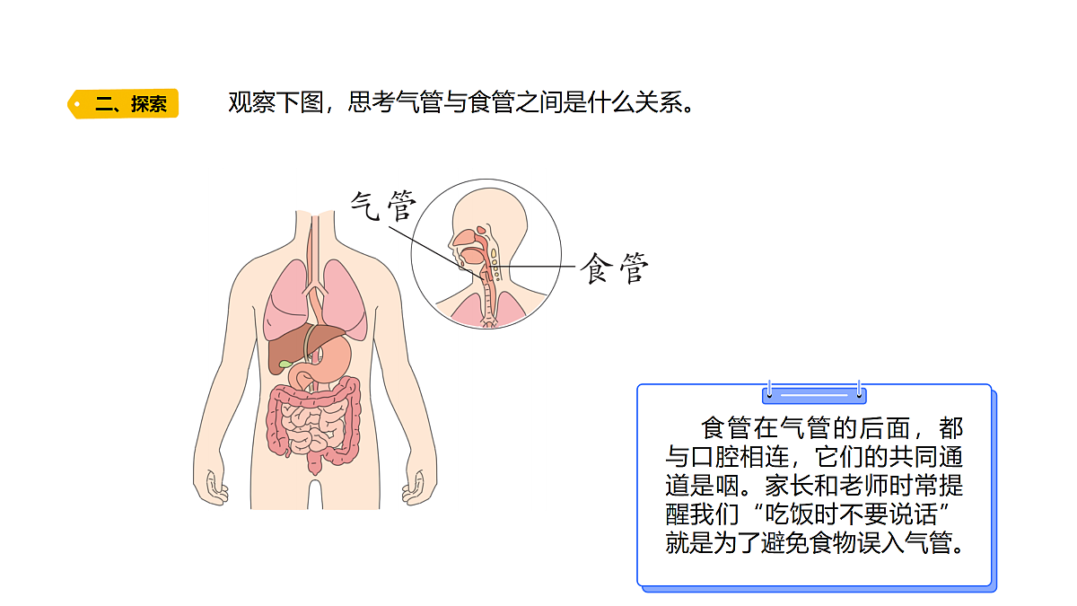 18704068第7页