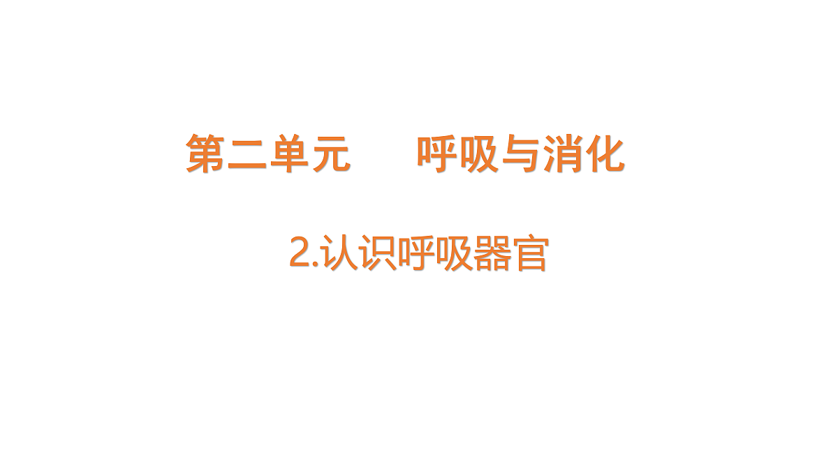 18704071第1页
