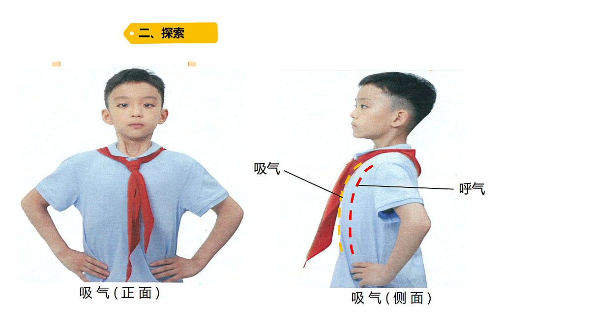 18704071第3页