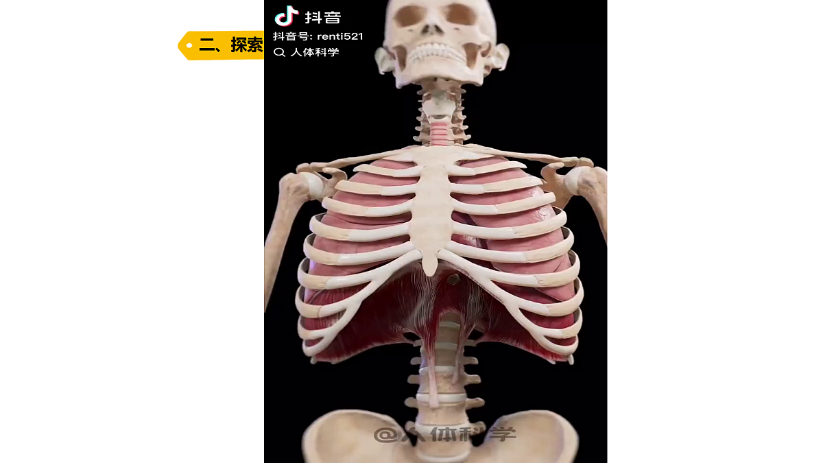 18704071第8页