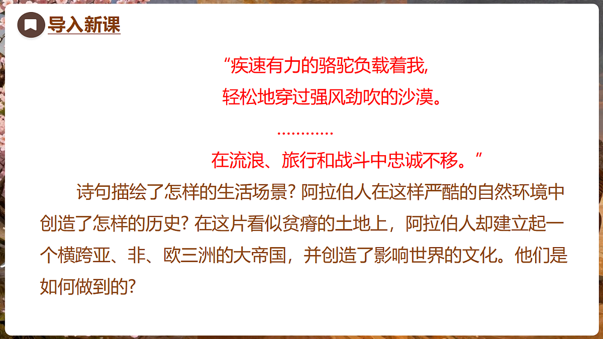 18704254第3页