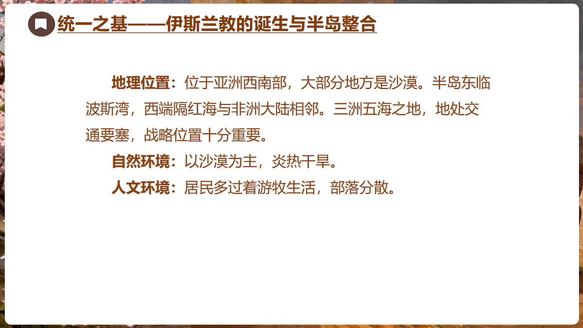 18704254第5页