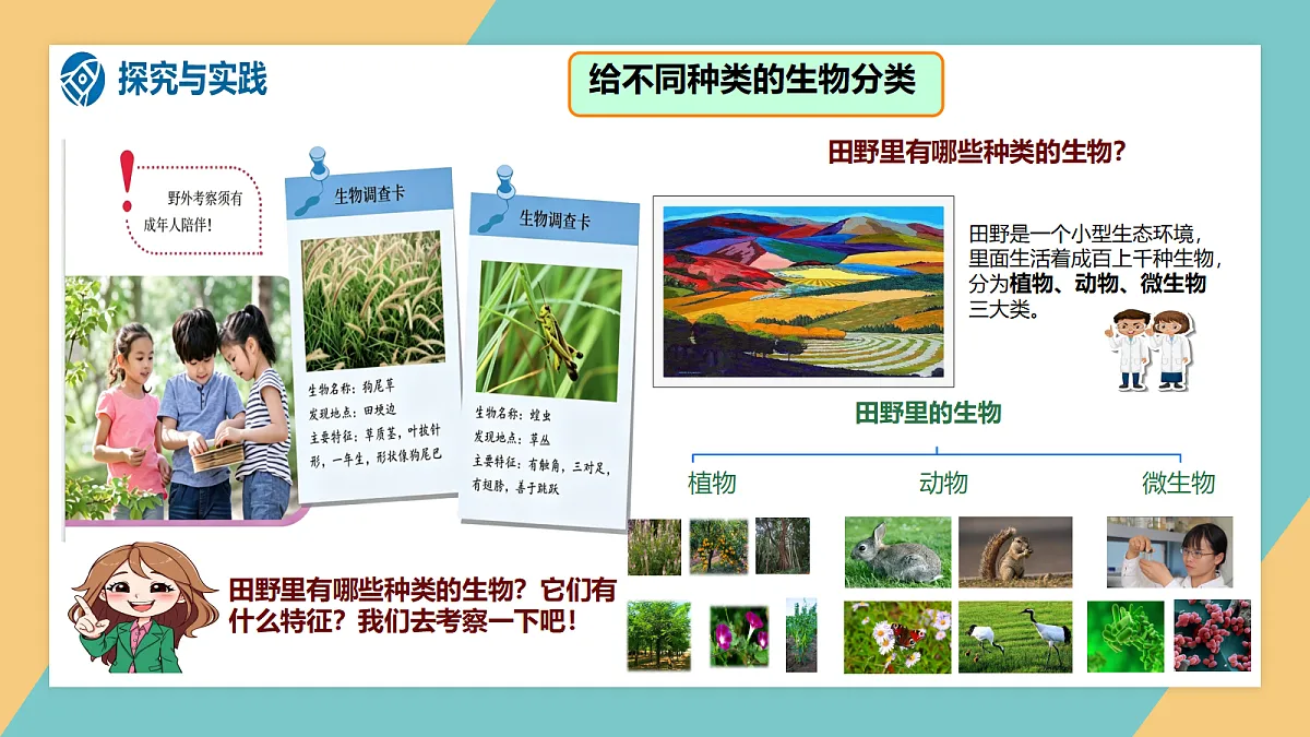 1.1《多种多样的生物》课件（新教材）第4页