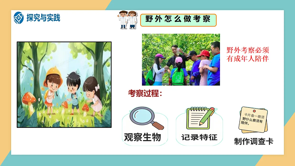 1.1《多种多样的生物》课件（新教材）第5页