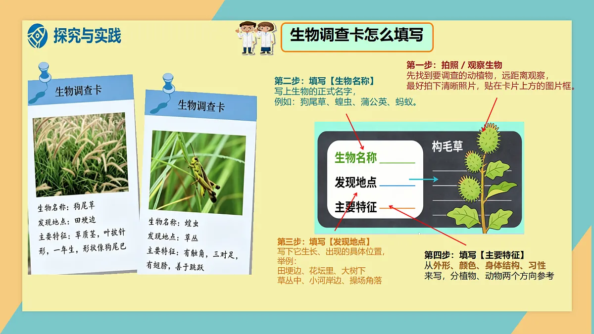 1.1《多种多样的生物》课件（新教材）第6页
