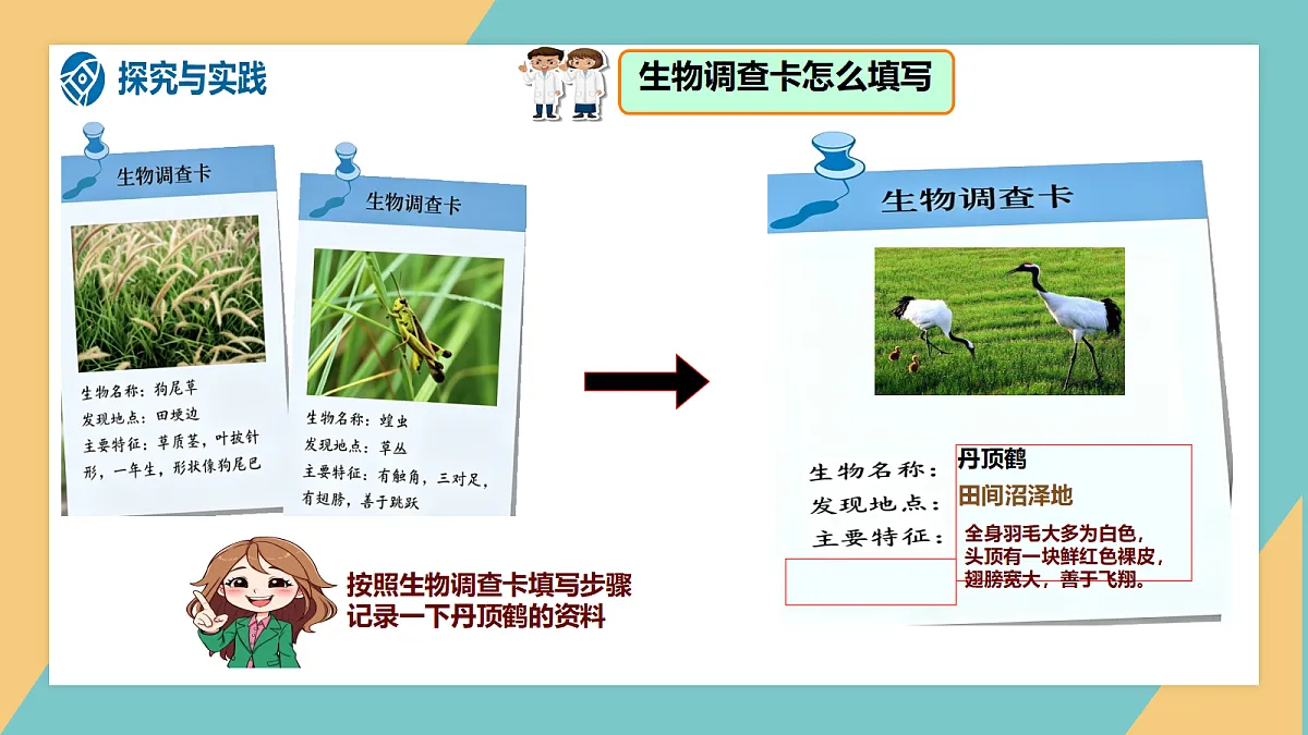 1.1《多种多样的生物》课件（新教材）第7页