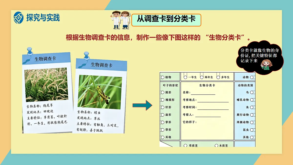 1.1《多种多样的生物》课件（新教材）第8页