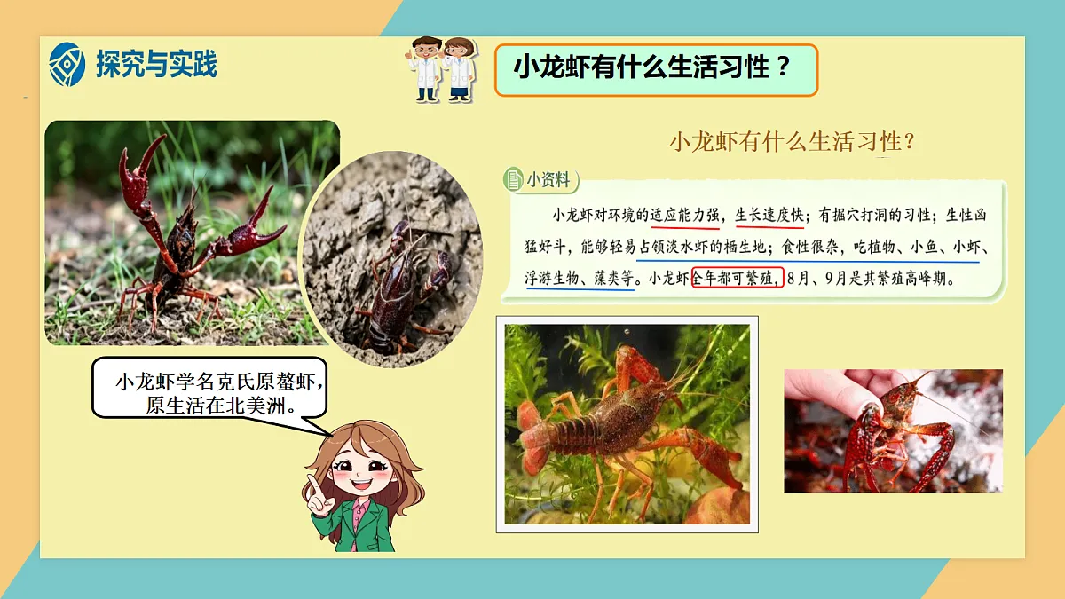 危险的来客第4页
