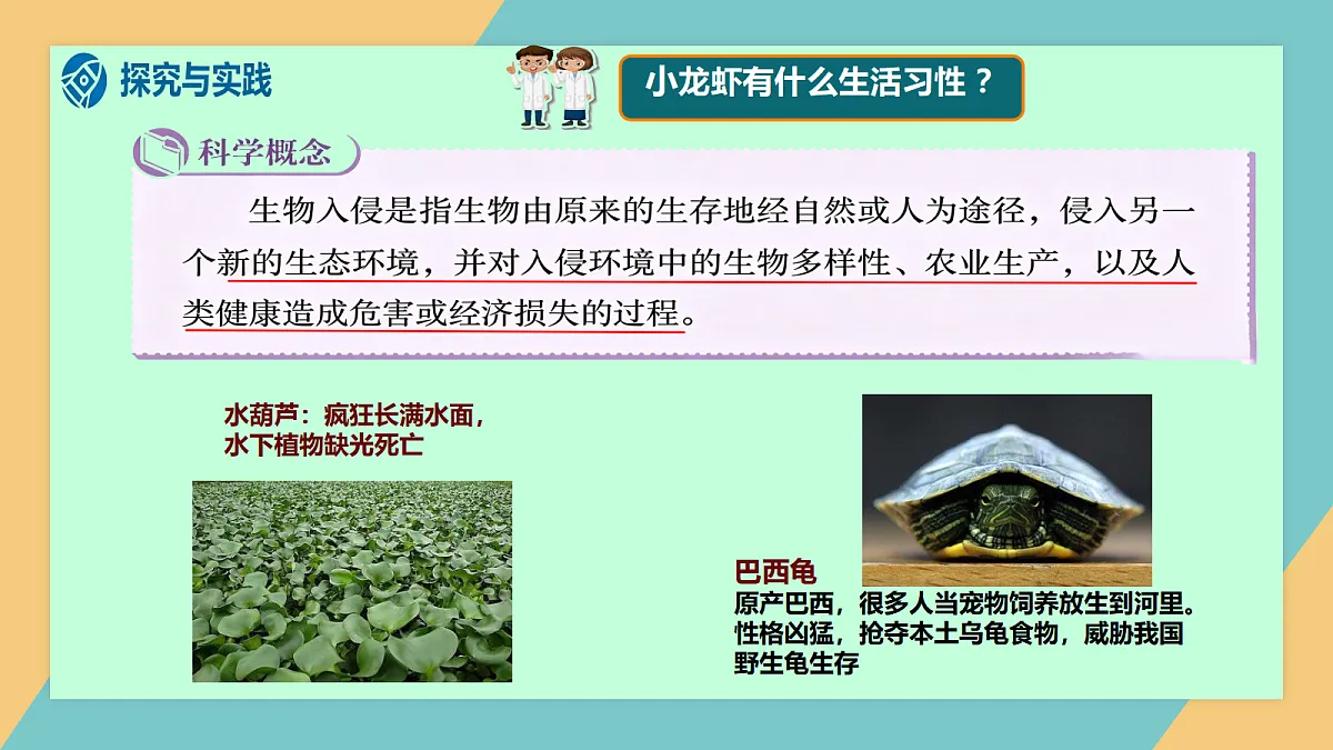 危险的来客第7页