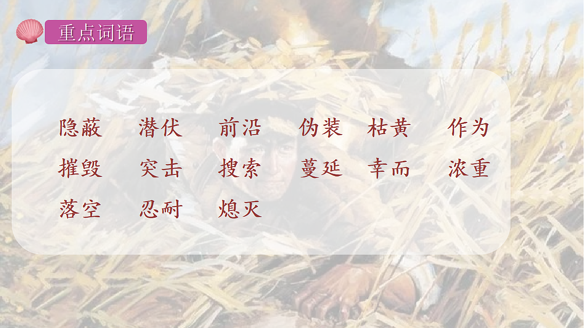 18704879第5页