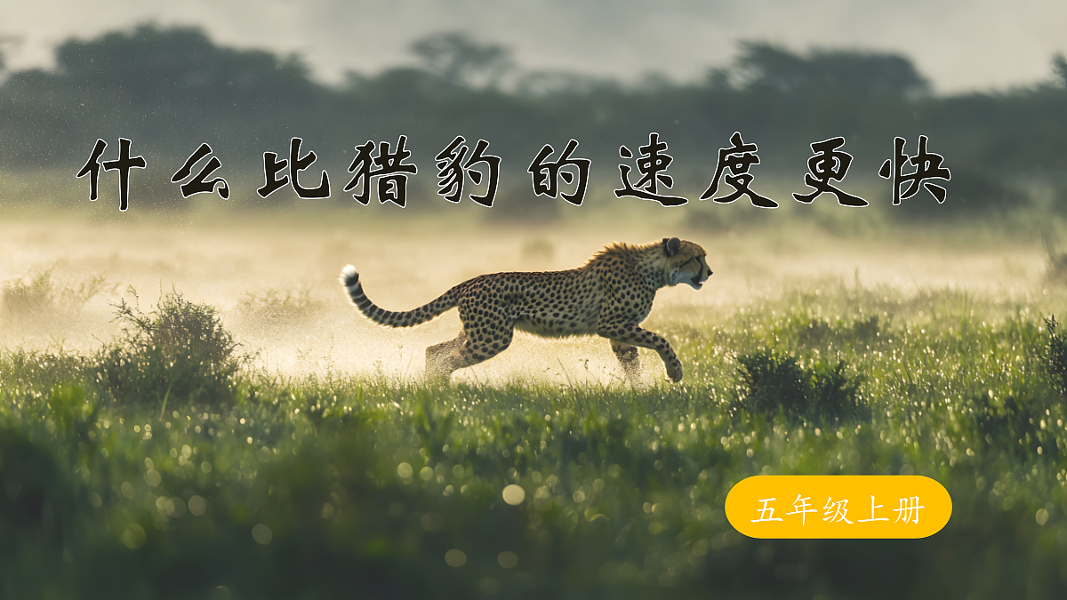 18704911第1页