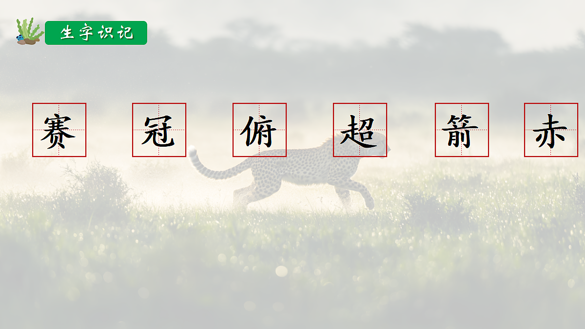 18704911第6页