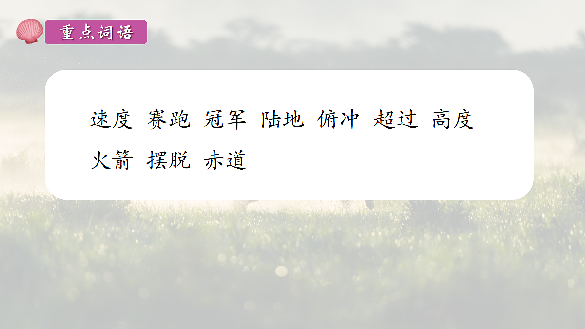 18704911第7页