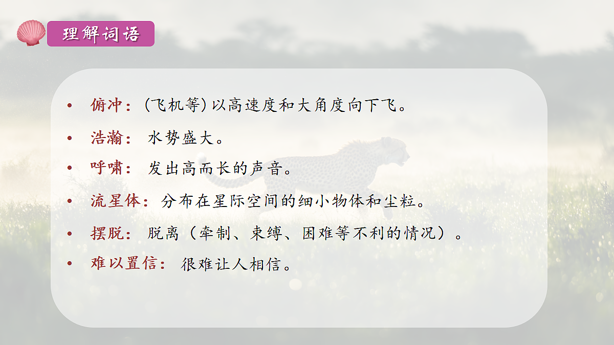 18704911第8页