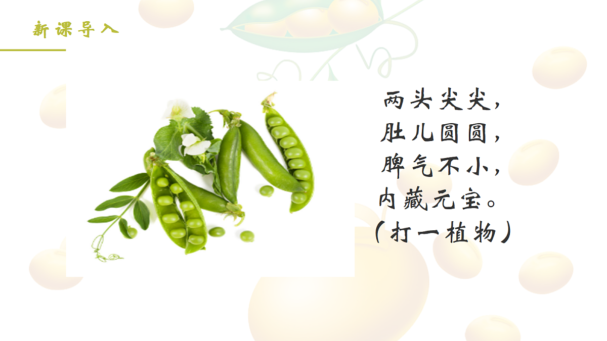 18704924第2页