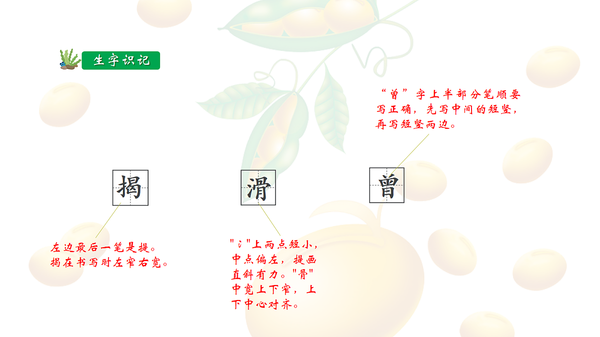 18704924第7页