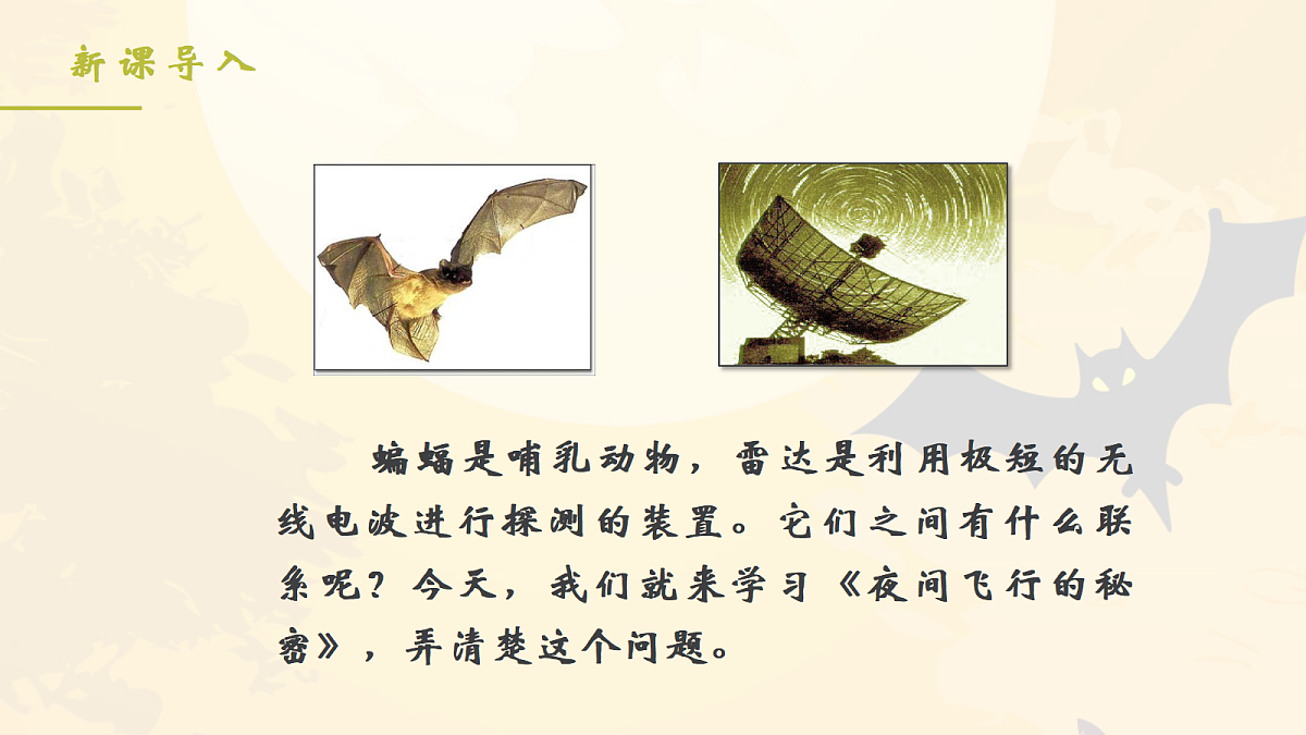 18704925第2页