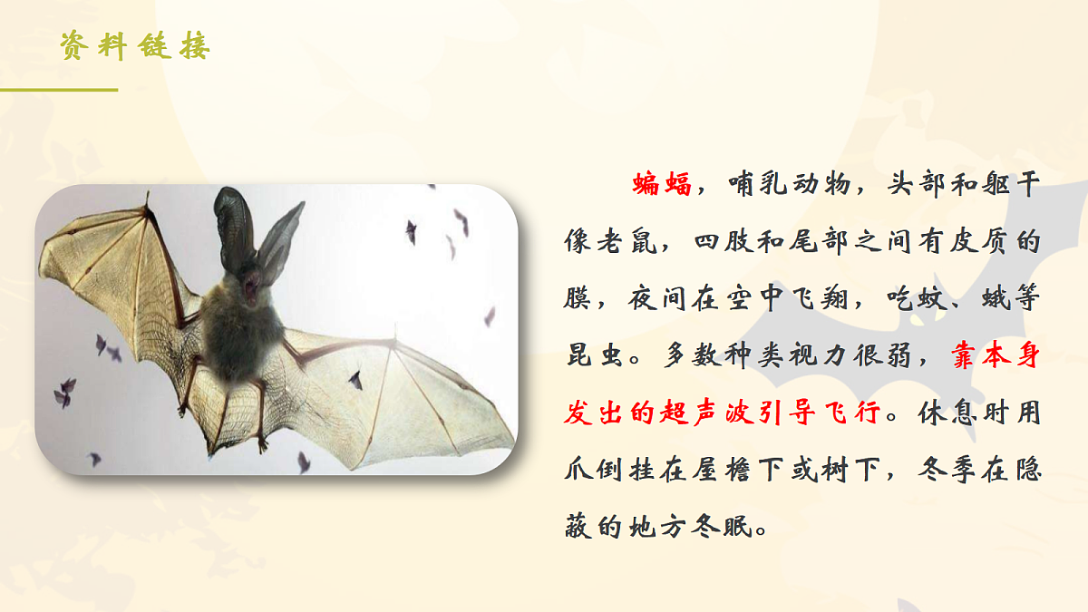 18704925第3页