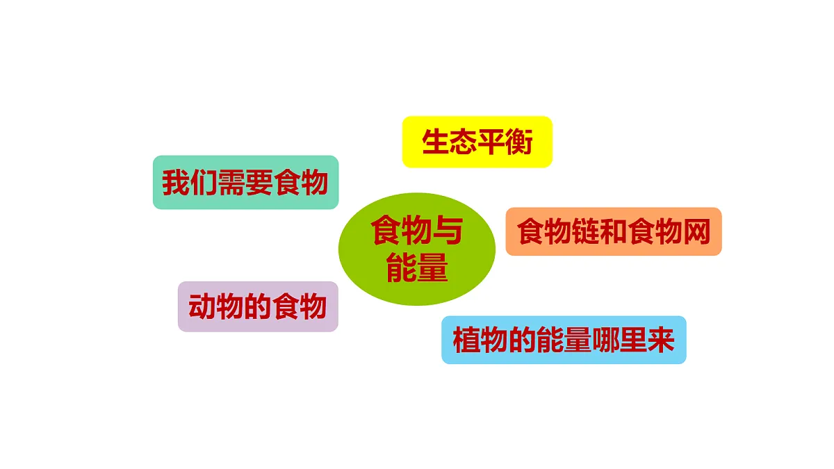 18705290第2页