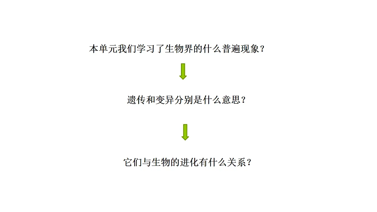 18705306第3页