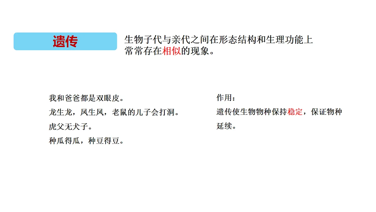 18705306第4页