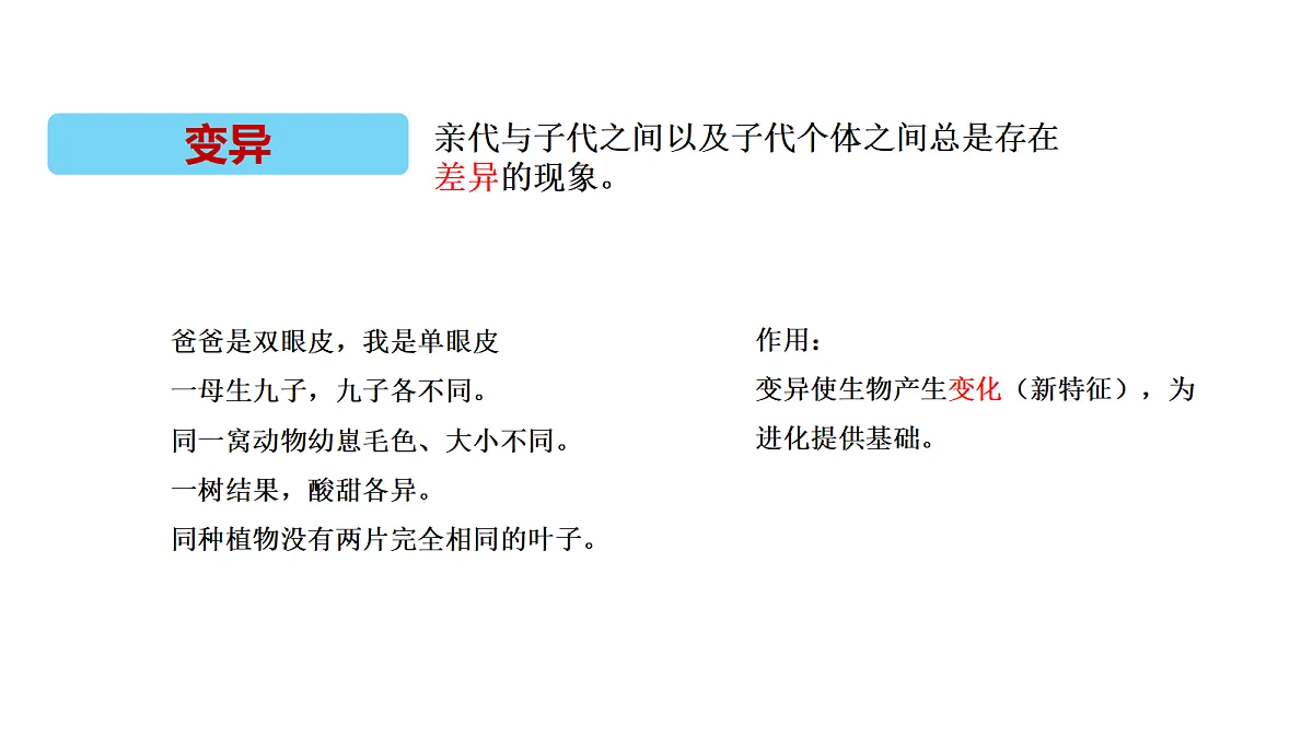 18705306第5页
