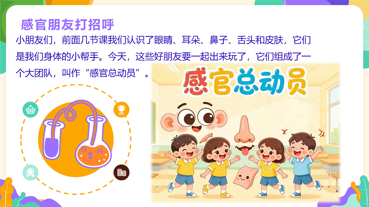 《感官总动员》课件第5页