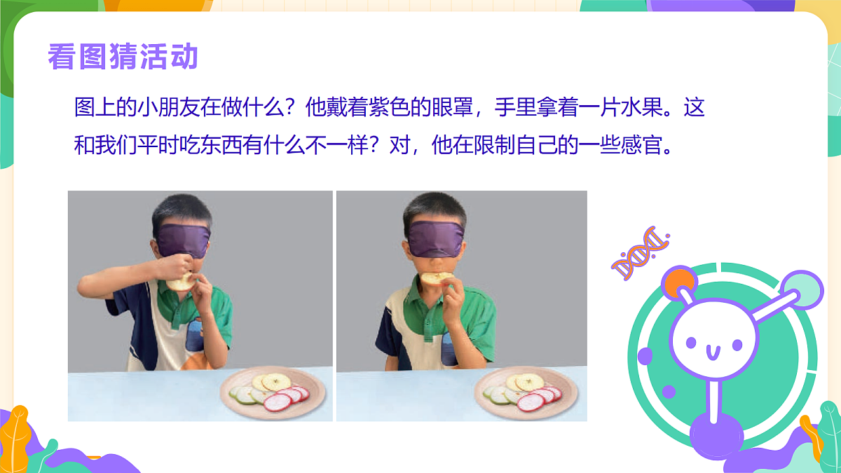《感官总动员》课件第6页
