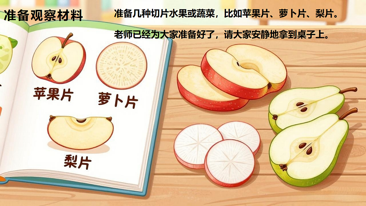 《感官总动员》课件第8页