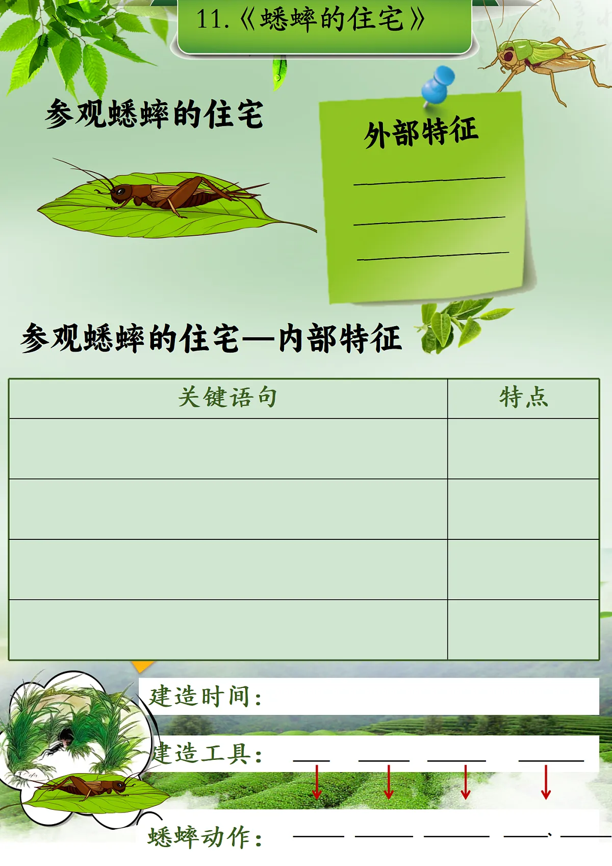 四上11.《蟋蟀的住宅》学习单第1页