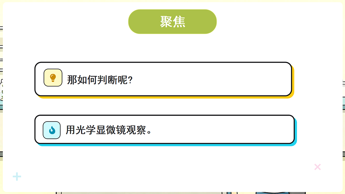 18708703第3页