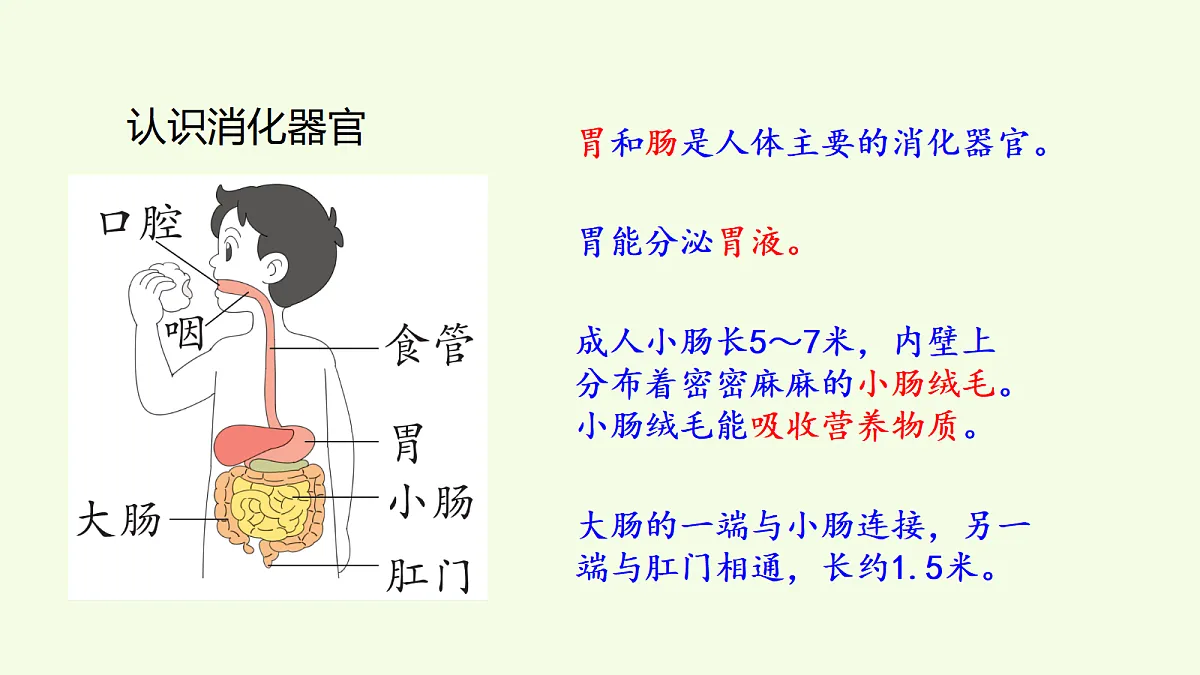 18708758第4页