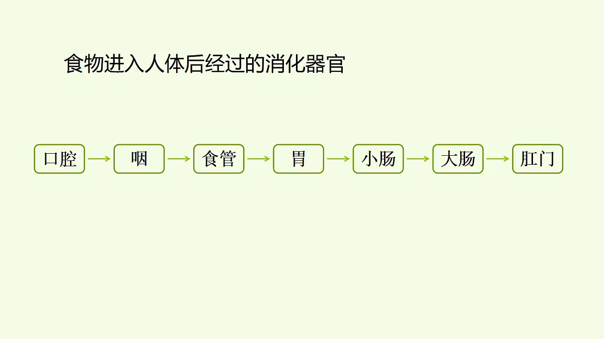 18708758第5页
