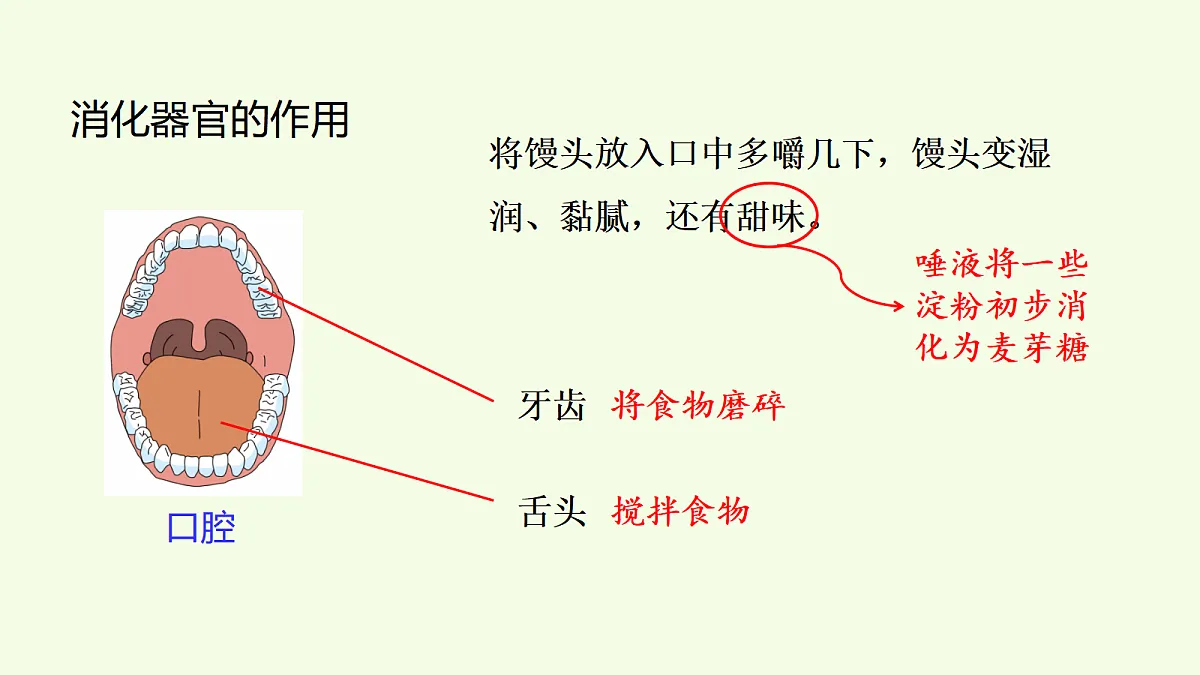 18708758第6页