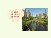 第1单元 1 神奇的显微镜（课件）2026-2027学年湘科版五年级科学上册