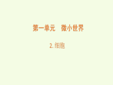 第1单元 2 细胞（课件）2026-2027学年湘科版五年级科学上册