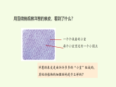 第1单元 2 细胞（课件）2026-2027学年湘科版五年级科学上册