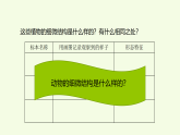 第1单元 2 细胞（课件）2026-2027学年湘科版五年级科学上册