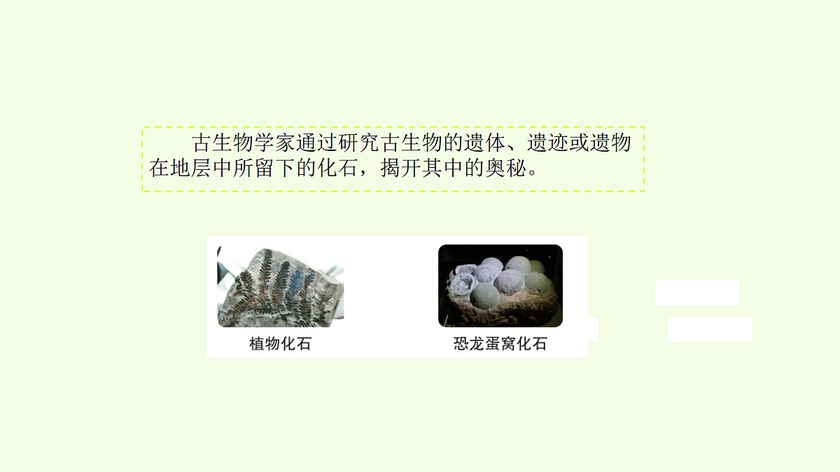 18708803第3页