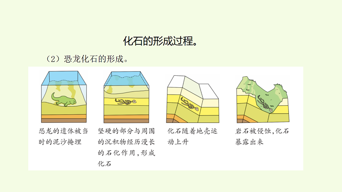 18708803第5页