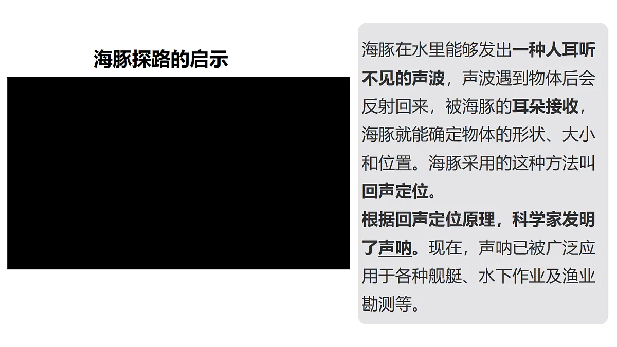 18710775第5页