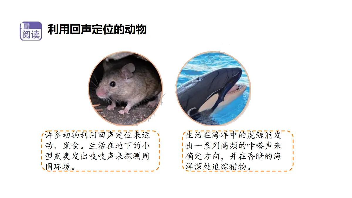 18710775第6页