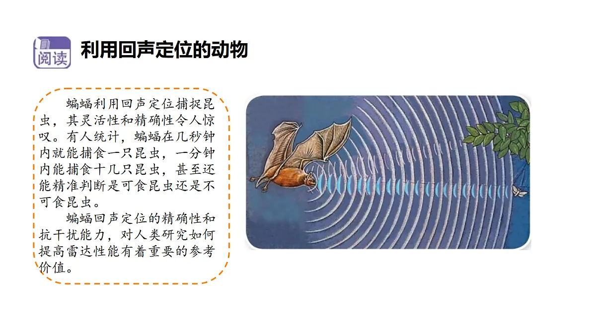 18710775第7页