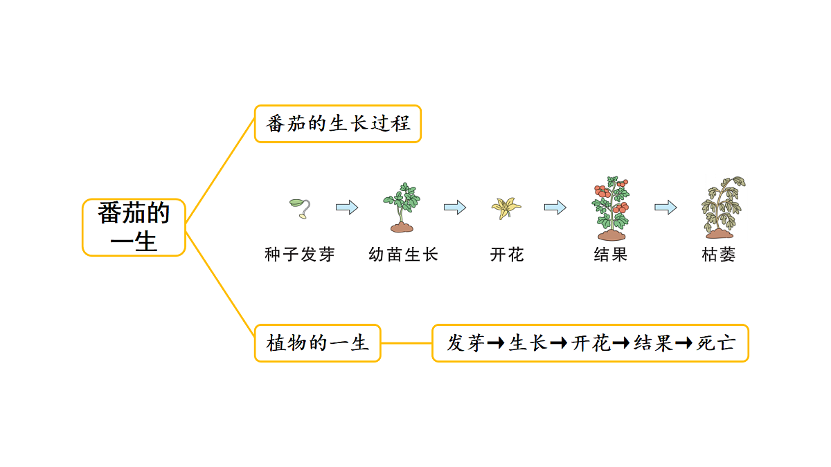 18710965第3页