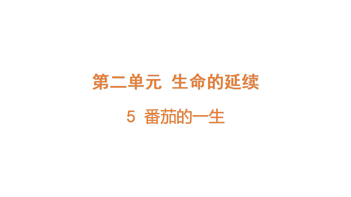 18711247第1页