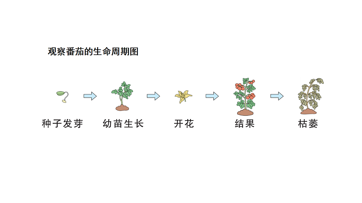 18711247第3页